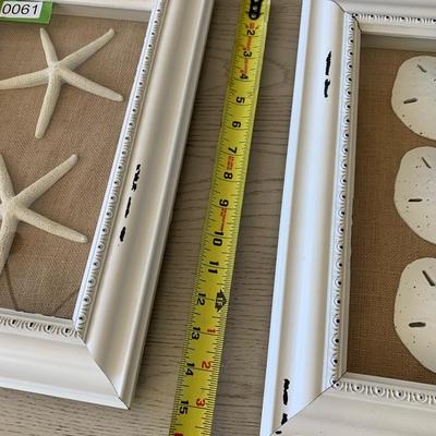 Starfish Sand Dollar Framed Shells Decor
