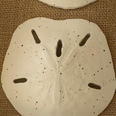 Starfish Sand Dollar Framed Shells Decor