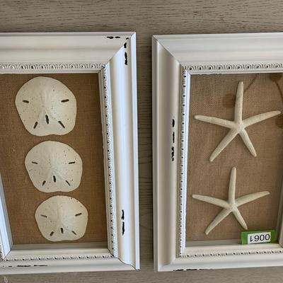 Starfish Sand Dollar Framed Shells Decor