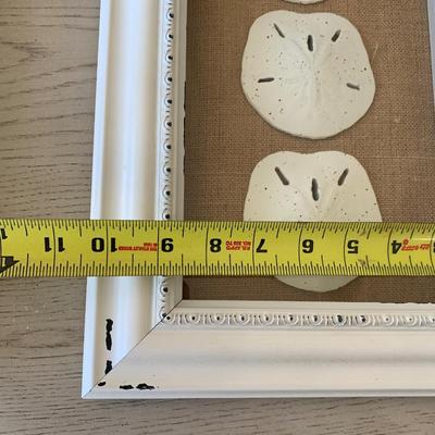 Starfish Sand Dollar Framed Shells Decor