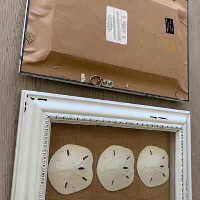 Starfish Sand Dollar Framed Shells Decor