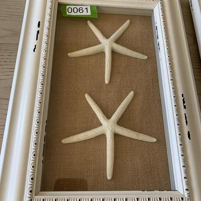 Starfish Sand Dollar Framed Shells Decor