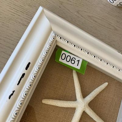 Starfish Sand Dollar Framed Shells Decor