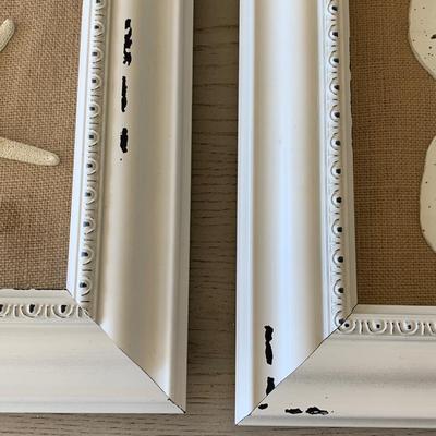 Starfish Sand Dollar Framed Shells Decor
