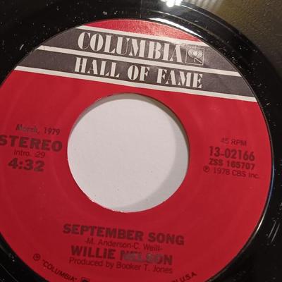 Vinyl record Albums -Willie Nelson 45RPM Records