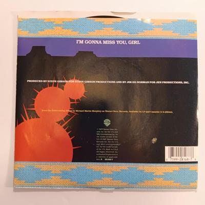 Vinyl record Albums ALL Michael Martin Murphey 45RPM Records