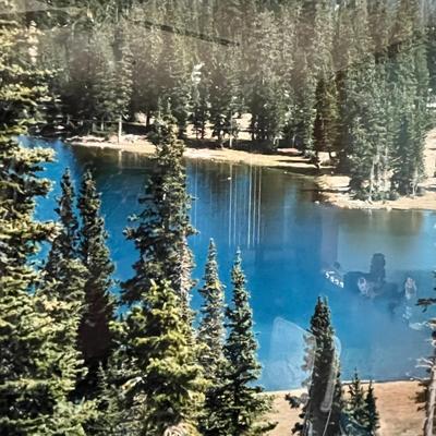 Forest Lake Photo Print