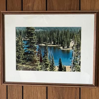 Forest Lake Photo Print