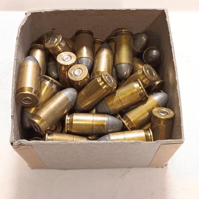 49 rounds of Ammunition -