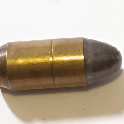 49 rounds of Ammunition -