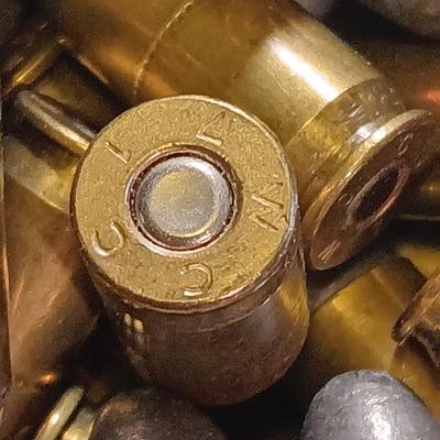 49 rounds of Ammunition -