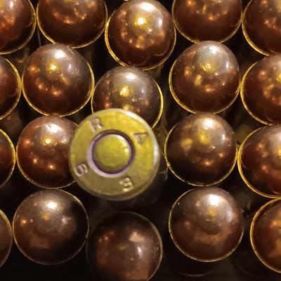 Ammunition 45 Auto new Rem Round nose