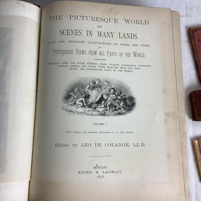 U650 The Picturesque World Vol.1 Antique Book Lot