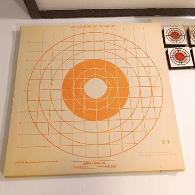 Lots of Paper targets with large foam target