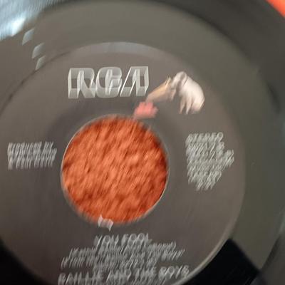 Vinyl record Albums -Daniel Boone - Ballie and the Boys -Bellamy Brothers and more! 45RPM Records