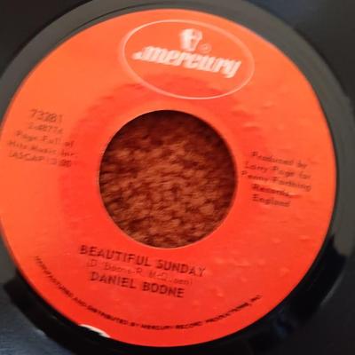 Vinyl record Albums -Daniel Boone - Ballie and the Boys -Bellamy Brothers and more! 45RPM Records
