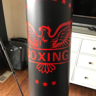 Boxing Punching Bag and Gloves ðŸ¥Š