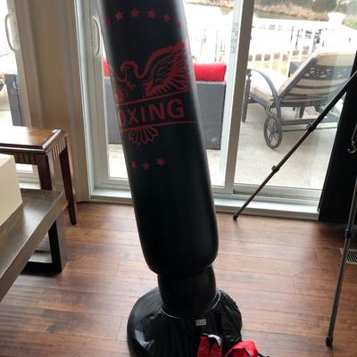Boxing Punching Bag and Gloves ðŸ¥Š