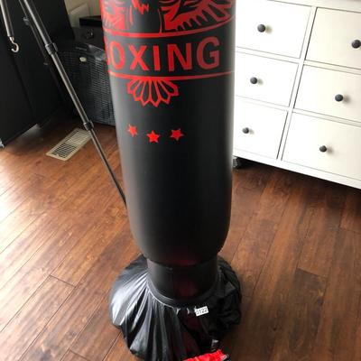 Boxing Punching Bag and Gloves ðŸ¥Š