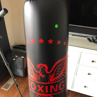 Boxing Punching Bag and Gloves ðŸ¥Š
