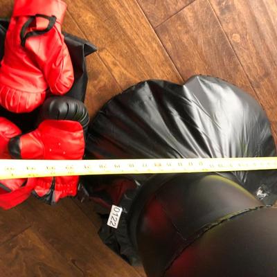 Boxing Punching Bag and Gloves ðŸ¥Š