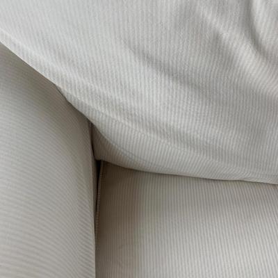 Arhaus Designer Furnishings Baldwin Beech Slipcover Sofa White and/or Blue Lite Striped