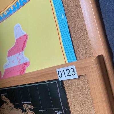 World & US Maps Framed