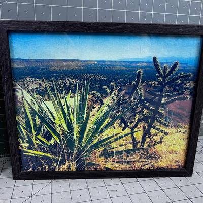 2 Vintage Framed PHOTOGRAPHS 