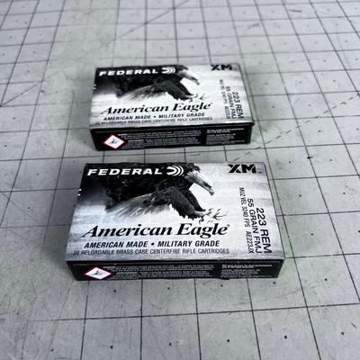 2 Boxes of FEDERAL XM .223 Remington 