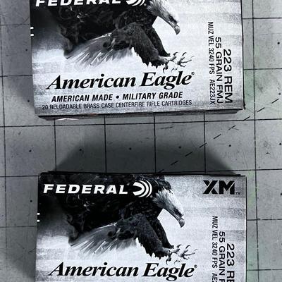 2 Boxes of FEDERAL XM .223 Remington 