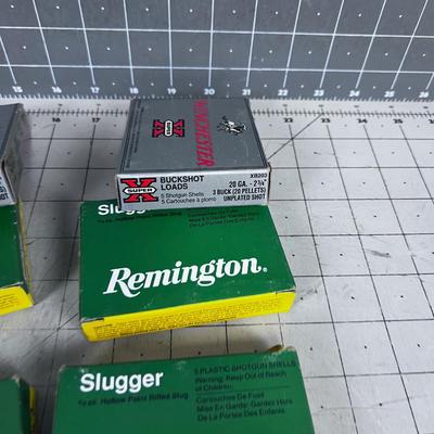 33 Rounds of 20 Gauge Buckshot and Slugs 