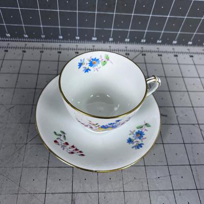 Bone China Tea Cup and Saucer