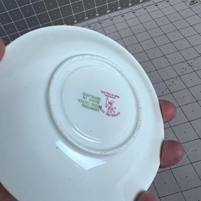 Bone China Tea Cup and Saucer