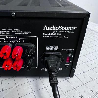 Audio Source AMP 300 Power Amplifier