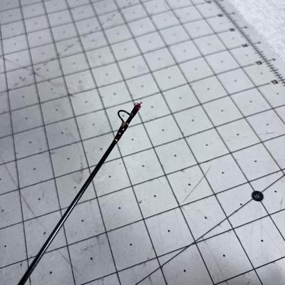 Fair Play Fly Rod and a Fenwick Case 