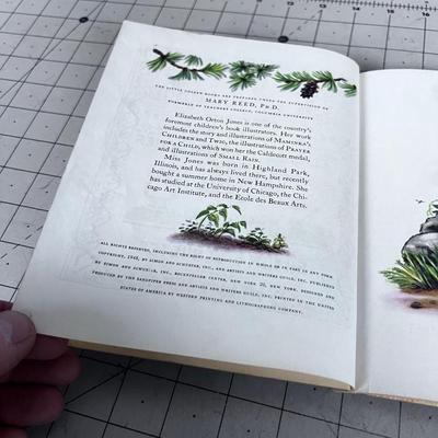 Antique Children's Books; Little Red Riding Hood & Peter Rabbit