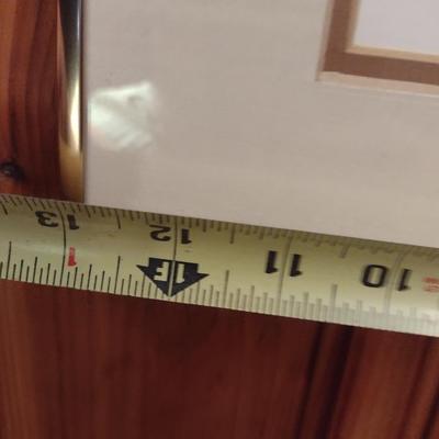 Framed Tribal Butterfly Wing Art Wall Decor