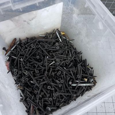 Partial Box of Grabber Screws 