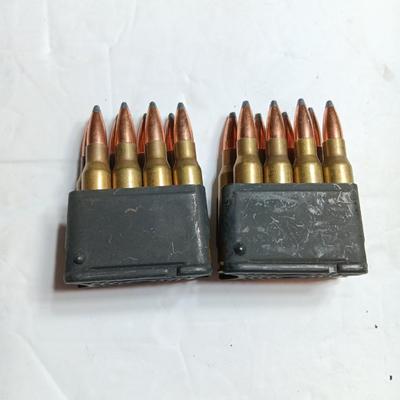 Two clips with Ammunition