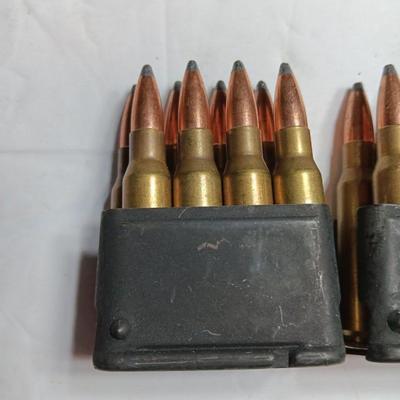 Two clips with Ammunition