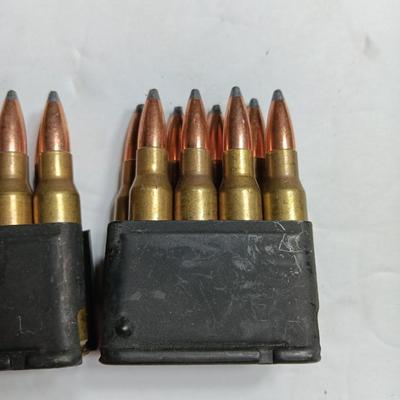 Two clips with Ammunition