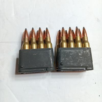 Two clips with Ammunition
