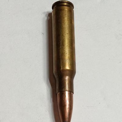 Two clips with Ammunition