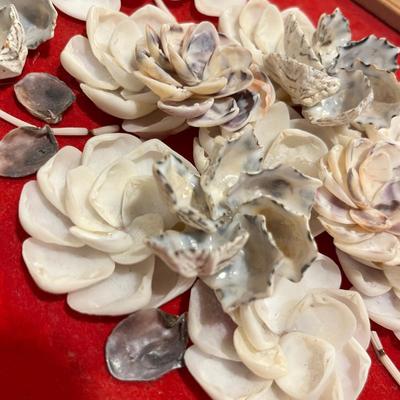 Shell art and butterflies