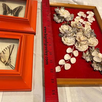 Shell art and butterflies