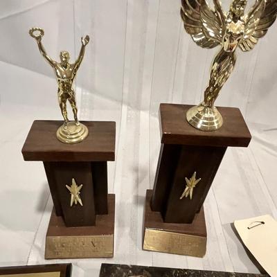 Lot of trophies & metals