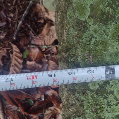 Concrete Garden Sitting Bench