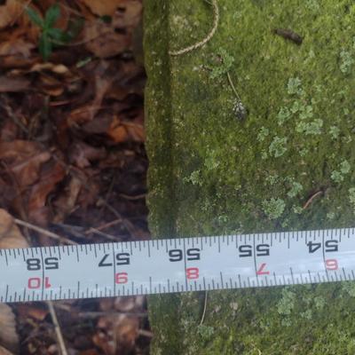 Concrete Garden Sitting Bench