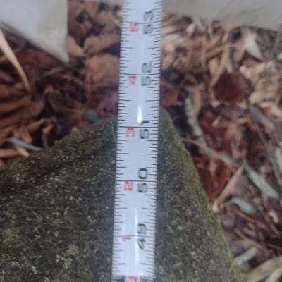 Curved Concrete Garden Sitting Bench