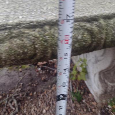 Curved Concrete Garden Sitting Bench- Choice A